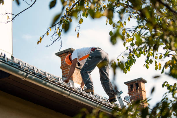 Best Shingle Roofing Installation  in Lamoni, IA
