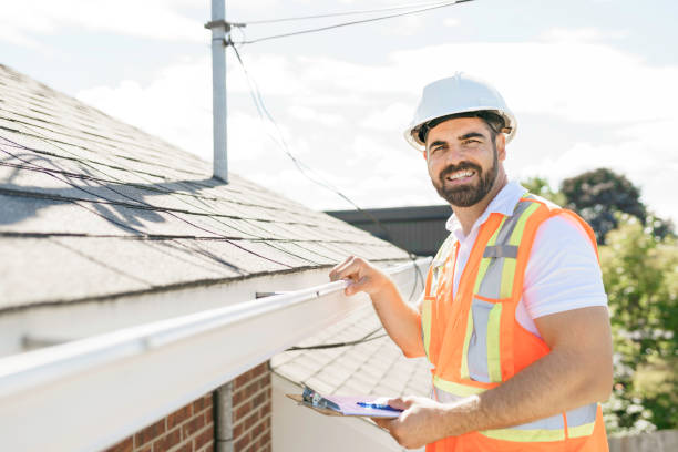 Best Roof Gutter Cleaning  in Lamoni, IA