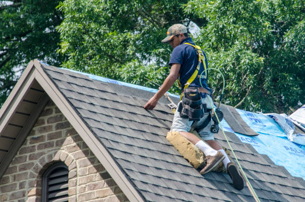 Best Roof Repair Services  in Lamoni, IA